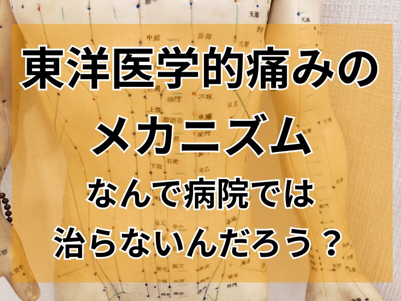 東洋医学的痛みのメカニズム～なんで病院では治らないんだろう？～