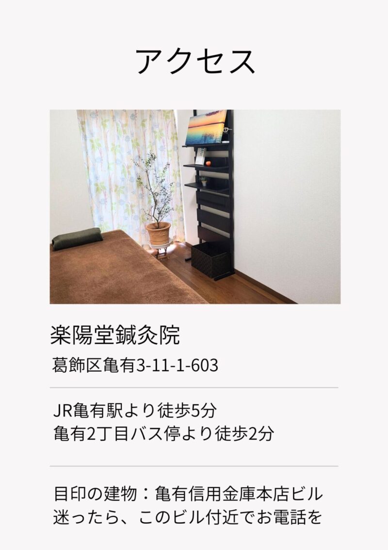 アクセス
葛飾区亀有3-11-1-603
JR亀有駅南口より徒歩5分
亀有二丁目バス停より徒歩2分
