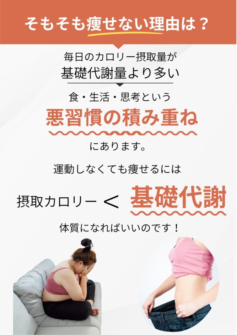 日常生活で痩せるためには、摂取カロリー<基礎代謝体質になればいい