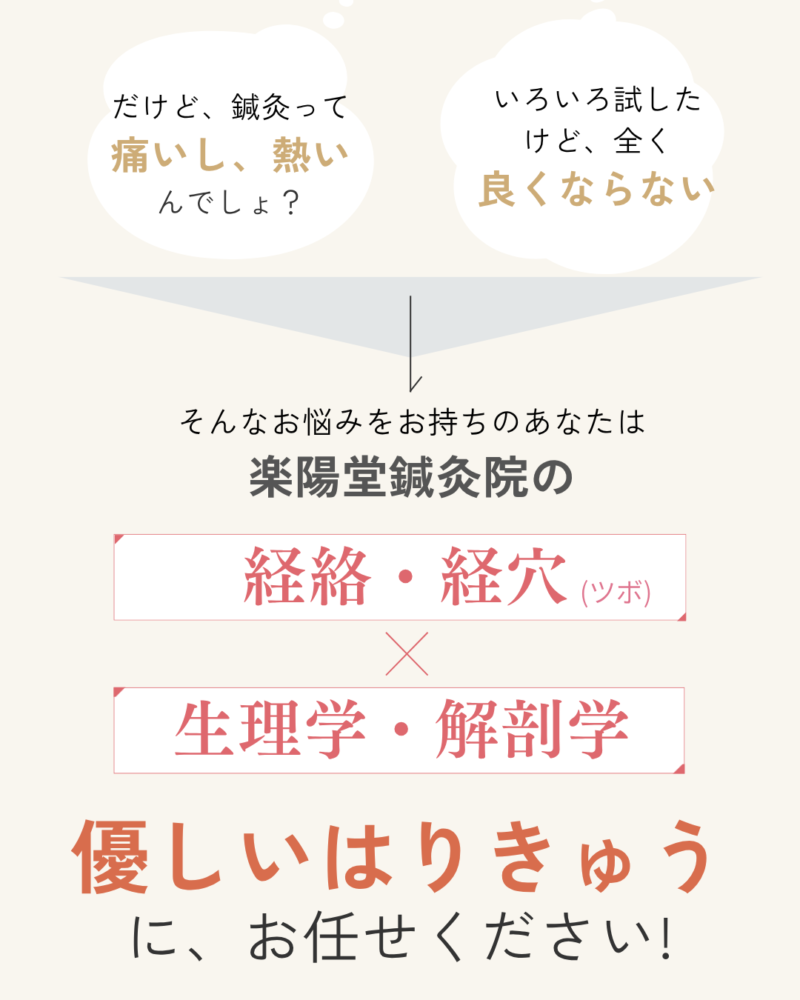 だけど、鍼灸って痛いし、熱いんでしょ？いろいろ試したけど、全く良くならない そんなお悩みをお持ちのあなたは楽陽堂鍼灸院の経絡・経穴×生理学・解剖学＝優しいはりきゅうに、お任せください!
