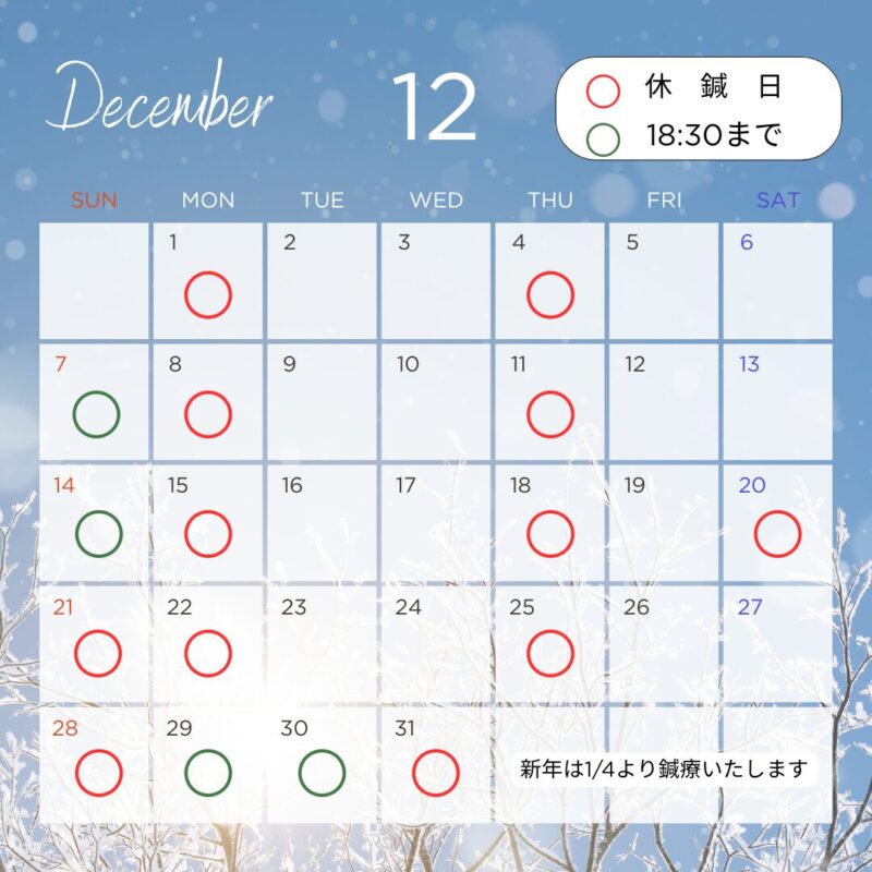 12月は20.28日はセミナー出席のため休鍼