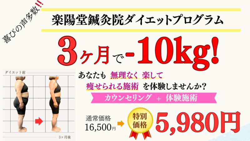 楽陽堂鍼灸院ダイエットプログラム。3ヶ月で-10kg。ムリなく楽して痩せられる施術を体験しませんか?
カウンセリング+初回体験16500円⇒5980円