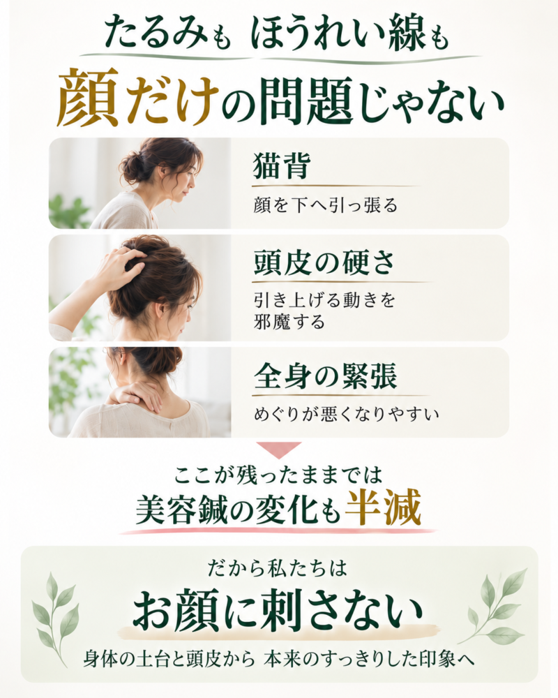 たるみも ほうれい線も 顔だけの問題じゃない。 猫背（お顔を下へ引っ張る） 頭皮の硬さ（引き上げる力がロック） 全身の緊張（血流と自律神経の滞り） ここが残ったままでは、 どんな美容鍼の変化も「半減」してしまいます。 だから楽陽堂は、お顔に刺さない。 身体の土台と頭皮から、本来の引き締まりを呼び覚ます。